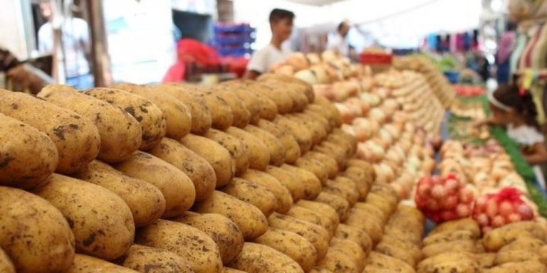 Kartof bazarında mövcud vəziyyət –Hansı ölkələrdən ixrac olunurdu? (Ekspert rəyi)