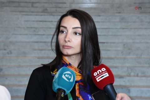 Leyla Abdullayeva:"Vəziyyətin gərginləşməsinə görə məsuliyyəti tam şəkildə Ermənistan daşıyacaq”