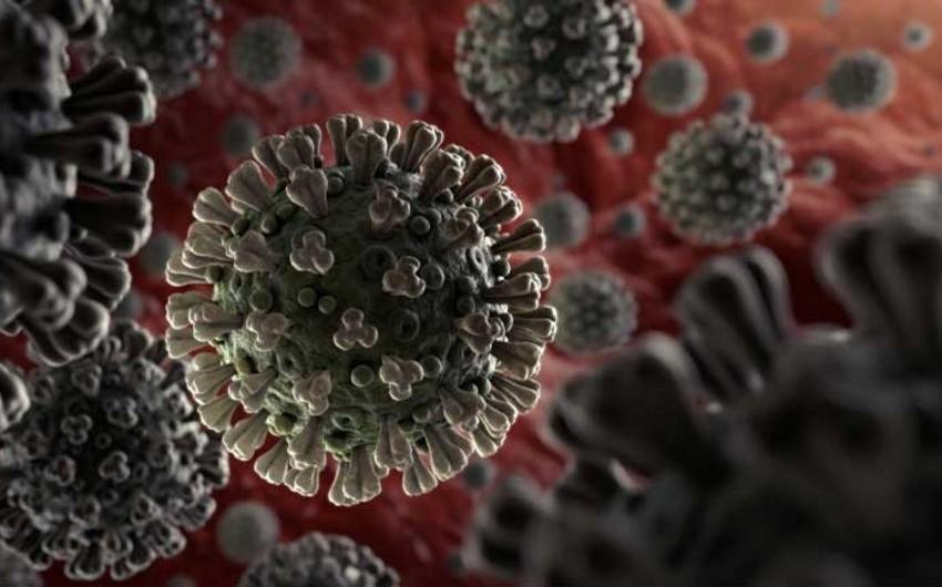 Avropanın 33 ölkəsində koronavirusa yoluxma kritik həddə çatıb