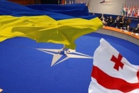 NATO Gürcüstan və Ukraynanı Rusiyaya güzəştə gedir?