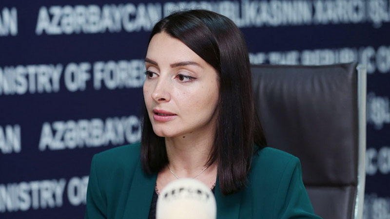 Fransa əsassız iddialardan əl çəkməlidir - Abdullayeva