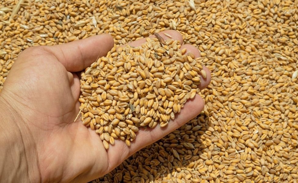 İdxal olunan məhsullar 25 faiz bahalaşıb