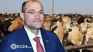 Deputata məxsus olduğu iddia edilən mal bazarında QANUNSUZ TİKİNTİ davam edir - YENİ DETALLAR