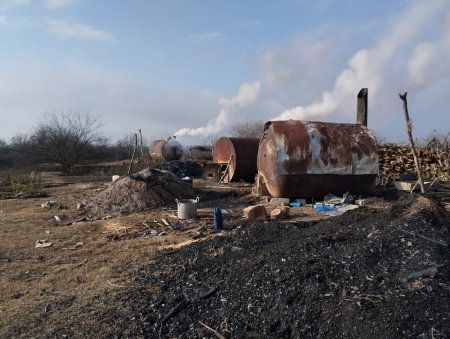 Qaxda kömür sexləri nəzarətdən çıxıb: Yaşıllıqlar məhv olur, qurumlara böhtan atılır