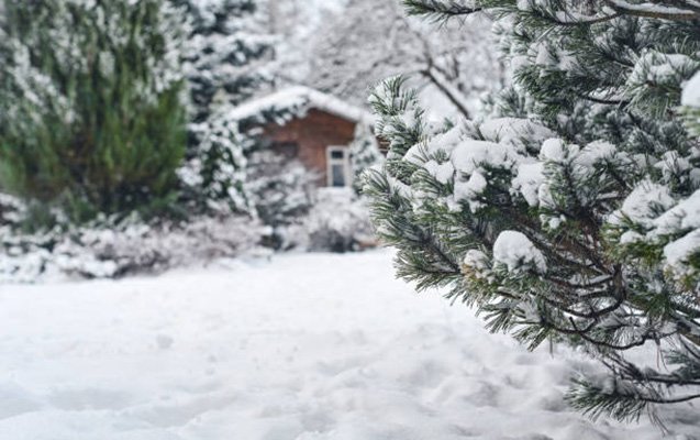 Zaqatalaya 36 sm qar yağdı