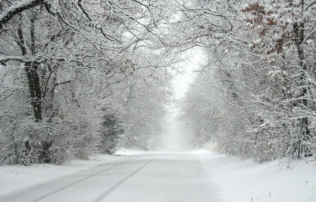 Hava KƏSKİN DƏYİŞİR, bəzi ərazilərdə qar yağacaq - XƏBƏRDARLIQ
