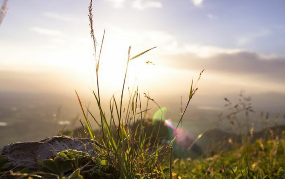 Sabah 20 dərəcə isti olacaq 