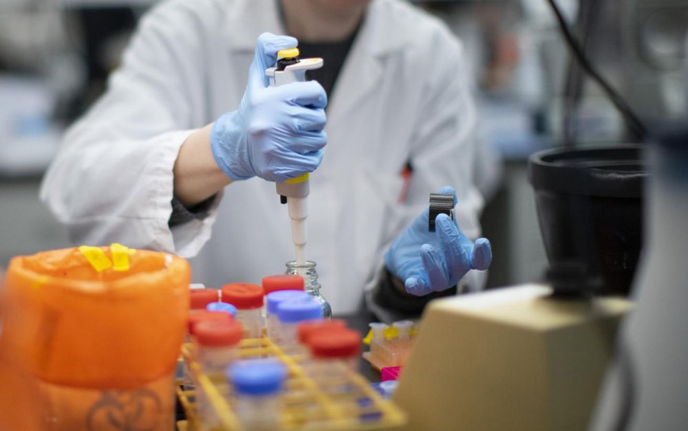 Taylandda yarasalarda yeni koronavirus ştamı tapıldı